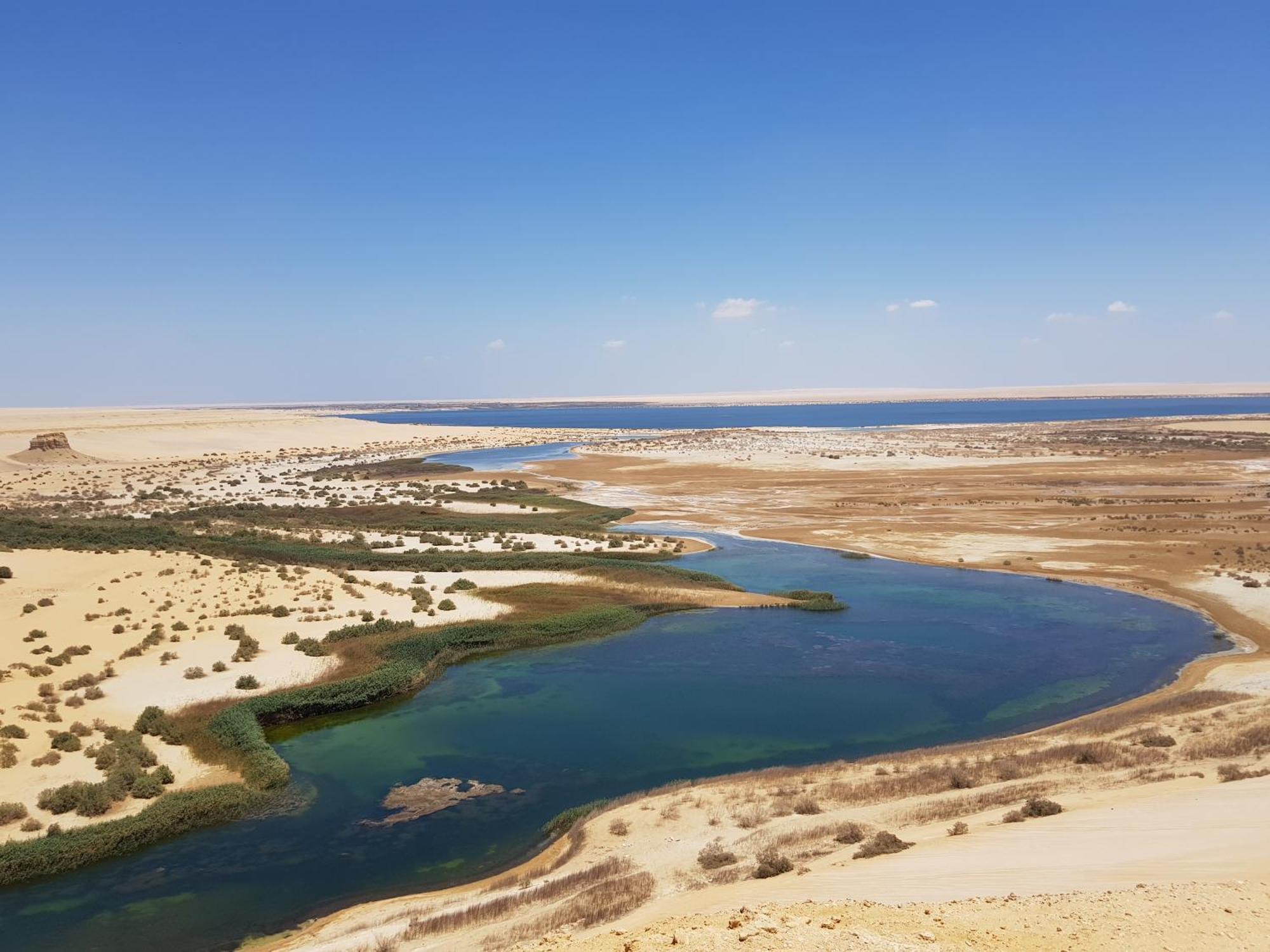 Maged Pyramids View Inn Kafrat al Jabal Ngoại thất bức ảnh